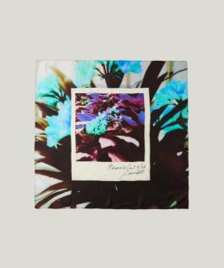 Hannahclow.shop2694b42769 1